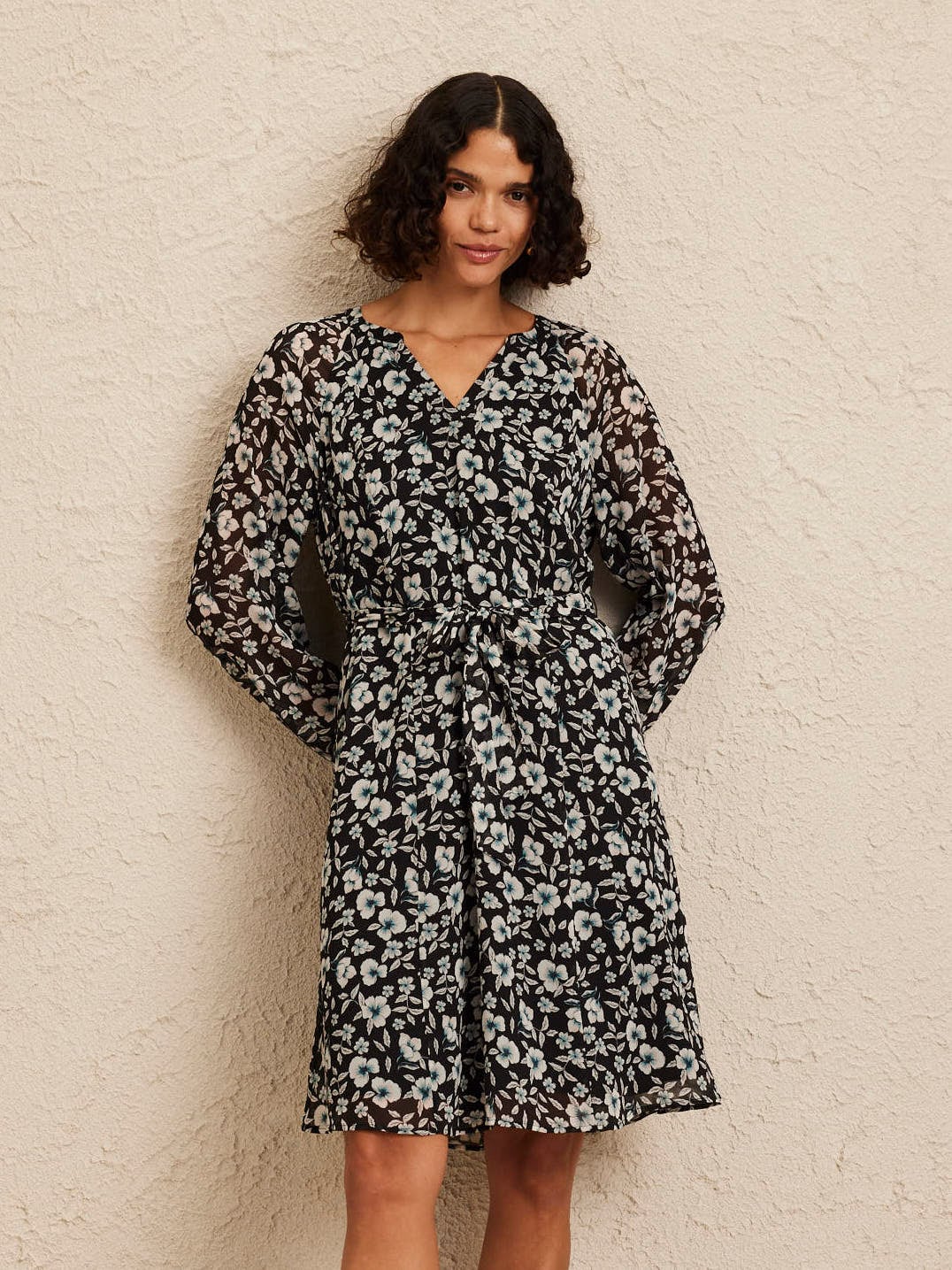 Chiffon Sleeve Venus Dress