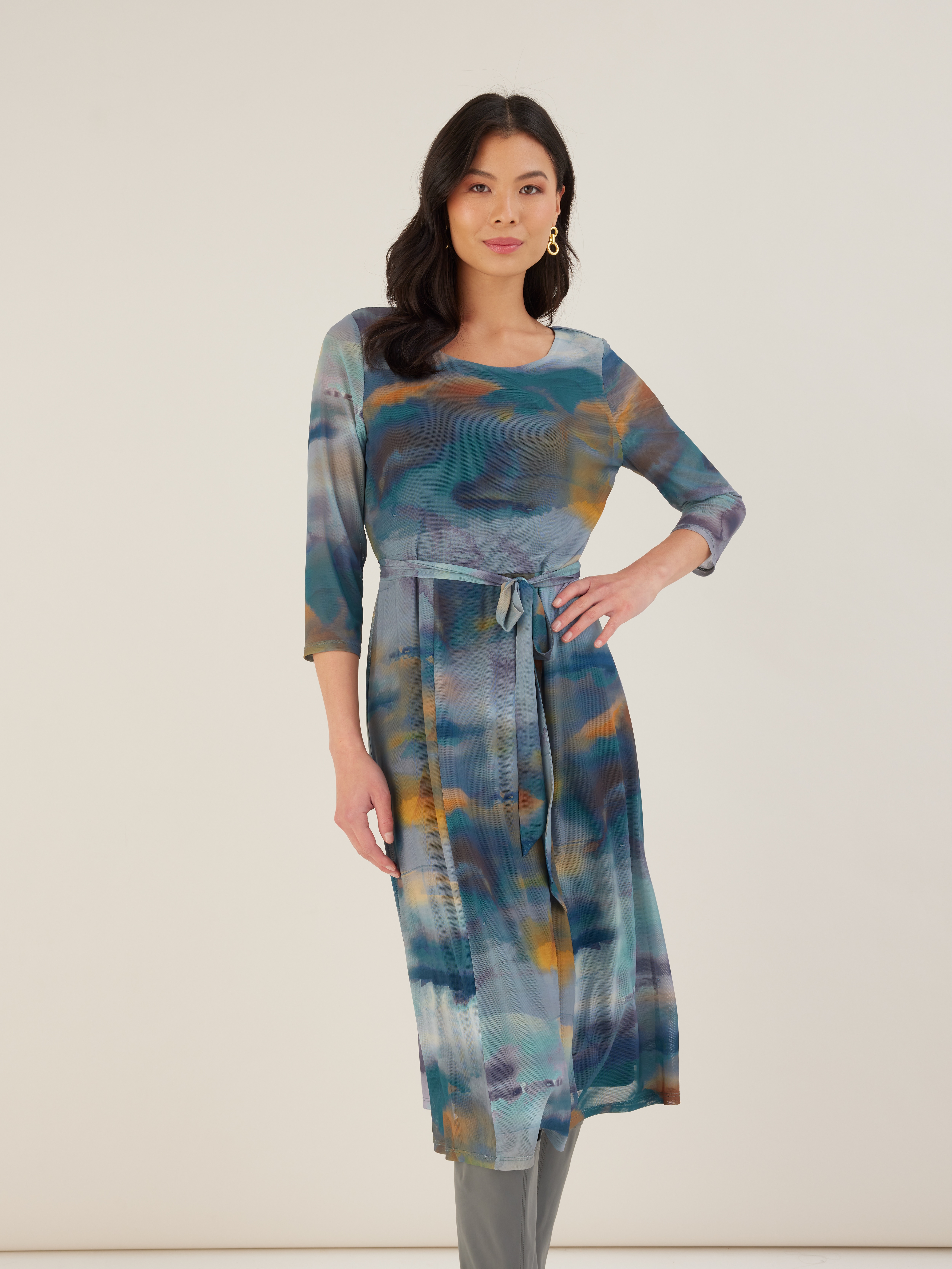 Narelle Mesh Dress                                                                                                              