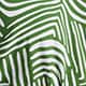 Linear Waves