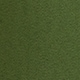 Moss