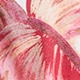 Blushed Palm