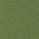 Moss