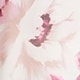 Magnolia Bloom
