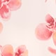 Floral Mirage