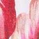Blushed Palm