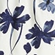 Indigo Daisy